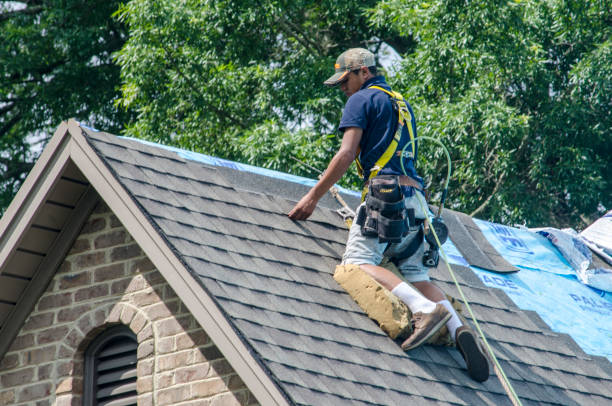 Professional Roofing Contractor in Wilmer, TX